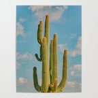 SKY CACTUS Poster Gallery Image 4