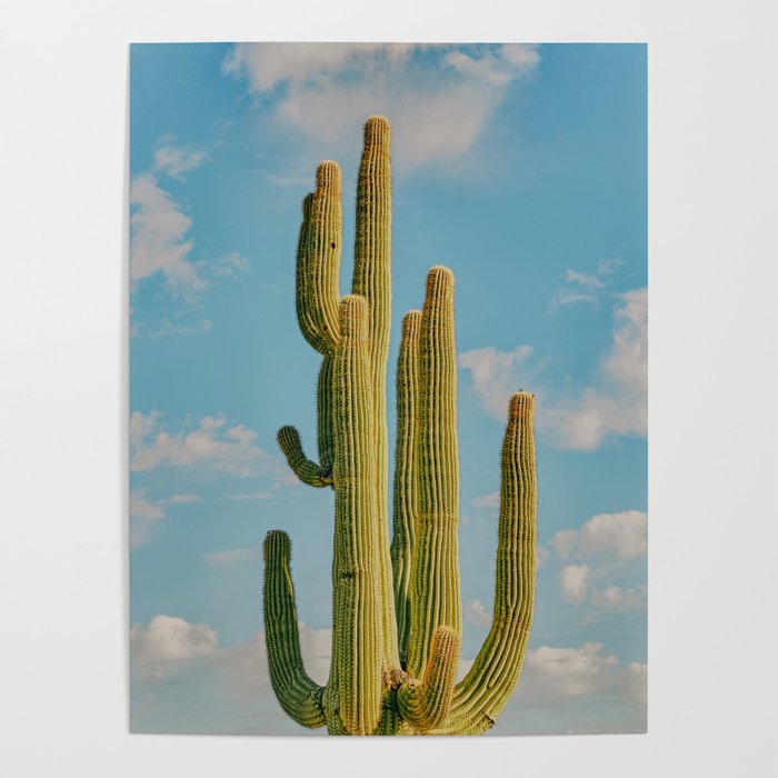 SKY CACTUS Poster Gallery Image 4