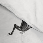 Horse Racing Black and White Toile Pattern  Comforter Gallery Image 4