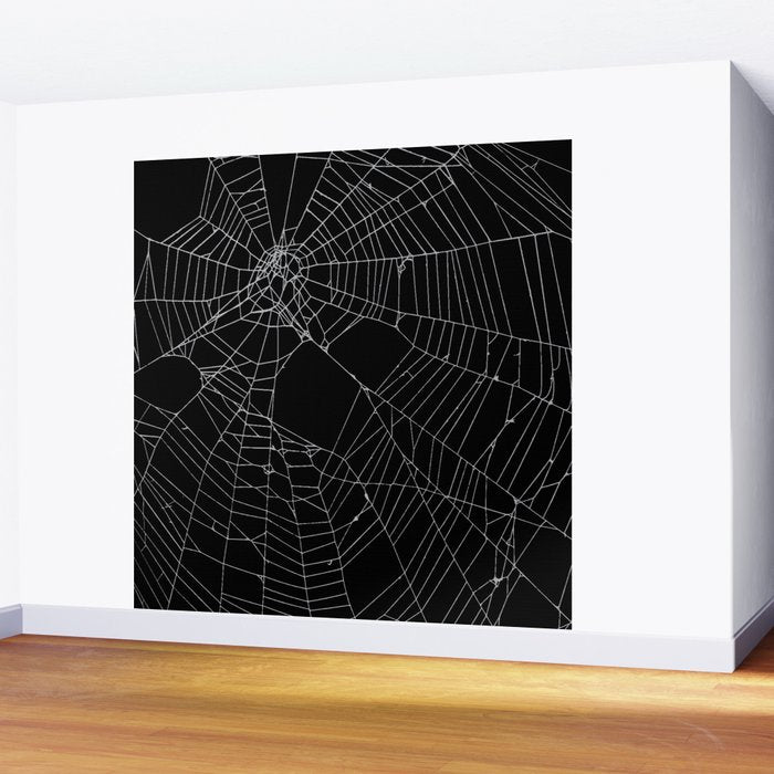 SpiderWeb Web Wall Mural Gallery Image 2