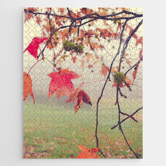 Autumn Dreams - fall color nature photograph Jigsaw Puzzle Gallery Image 1