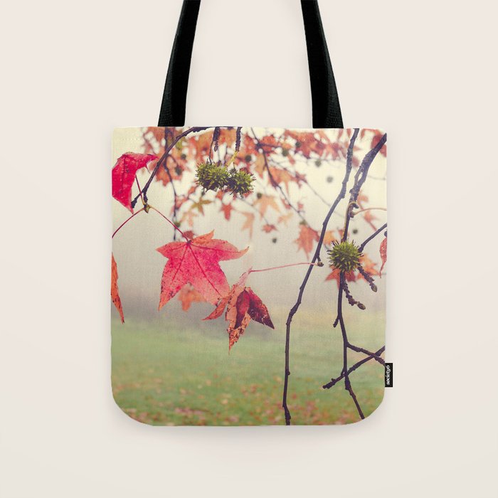 Autumn Dreams - fall color nature photograph Tote Bag Gallery Image 1
