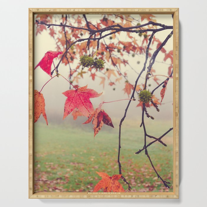 Autumn Dreams - fall color nature photograph Serving Tray Gallery Image 1