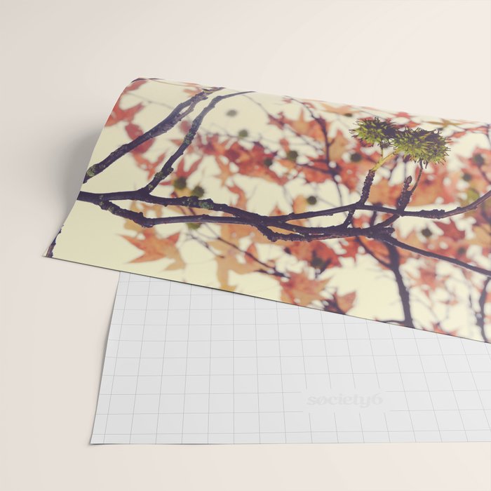 Autumn Dreams - fall color nature photograph Wrapping Paper Gallery Image 2