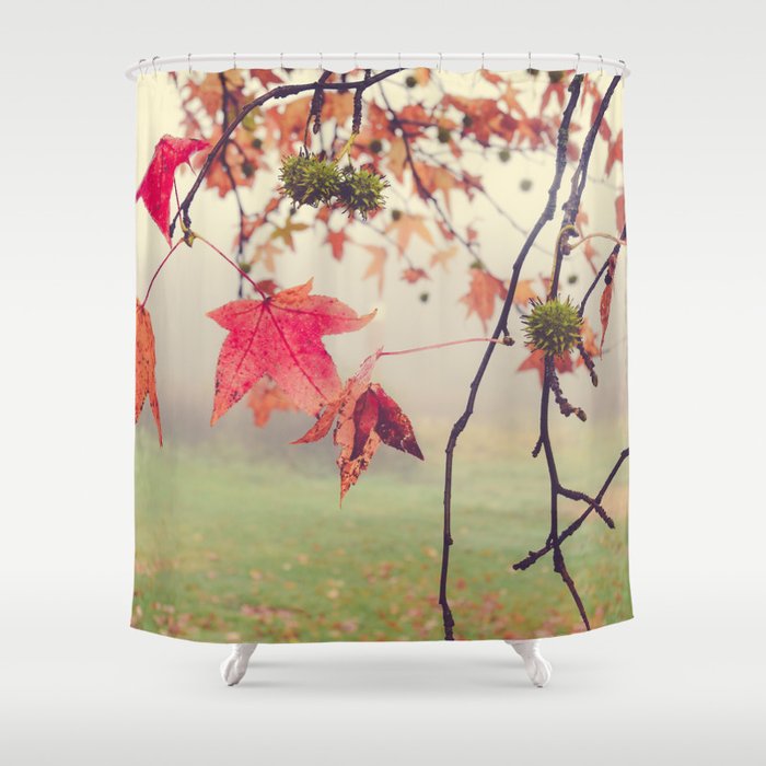 Autumn Dreams - fall color nature photograph Shower Curtain Gallery Image 1