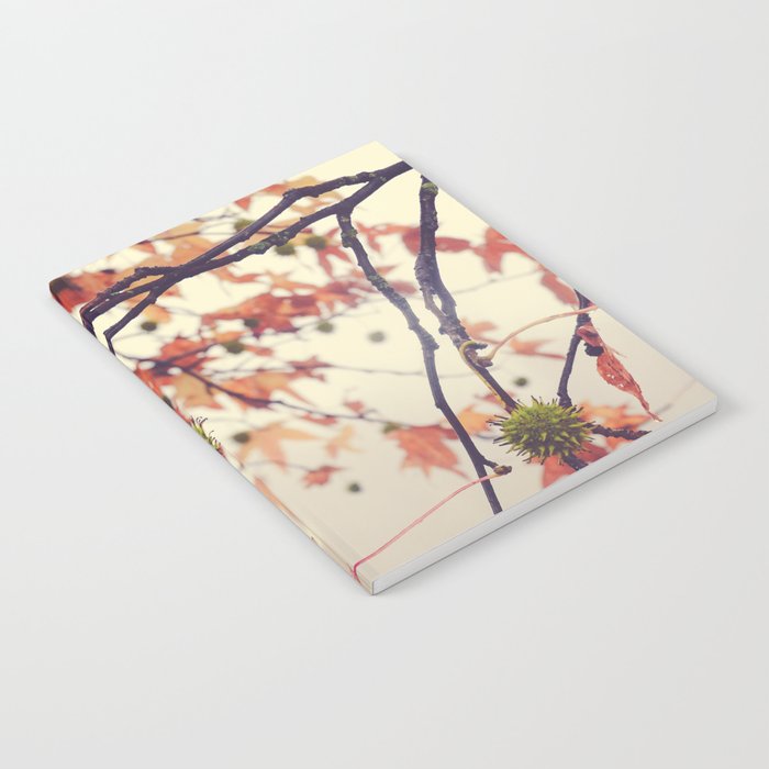 Autumn Dreams - fall color nature photograph Notebook Gallery Image 2