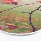 Autumn Dreams - fall color nature photograph Bath Mat Gallery Image 3