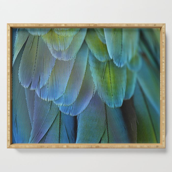 Blue Feathers #2 - Modern Photograph Serving Tray Gallery Image 1