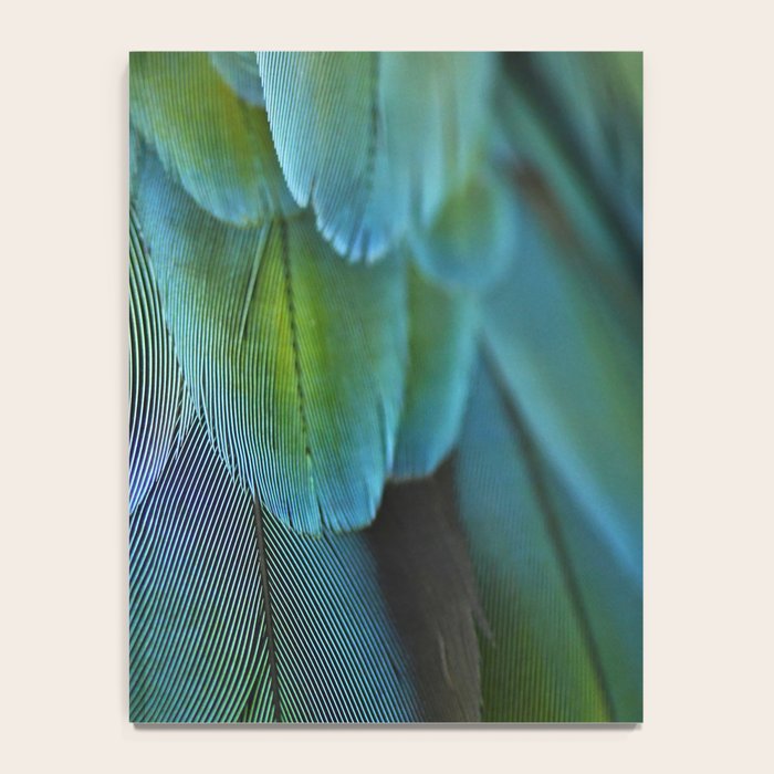 Blue Feathers #2 - Modern Photograph Notebook Gallery Image 4