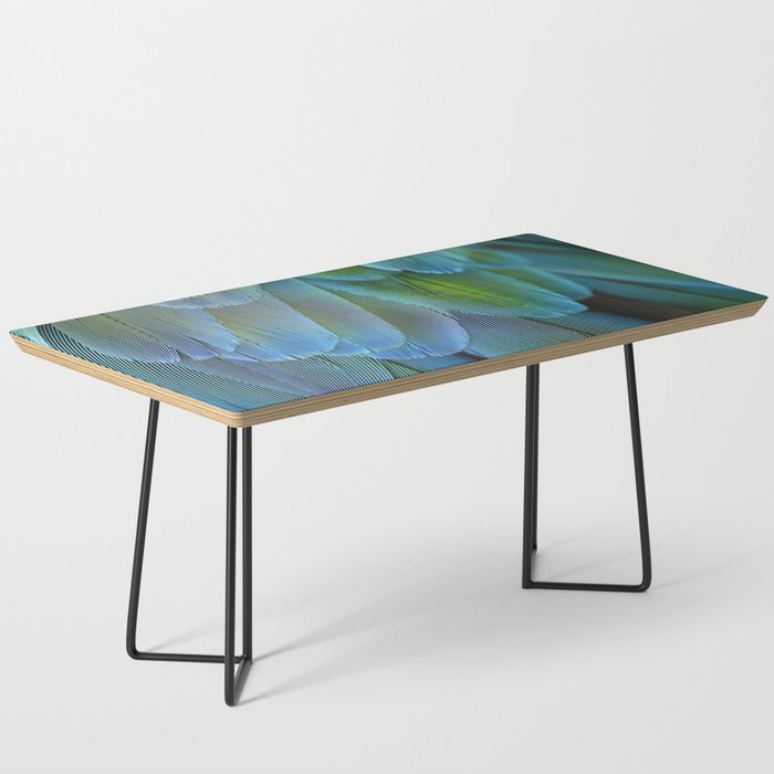 Blue Feathers #2 - Modern Photograph Coffee Table Gallery Image 1