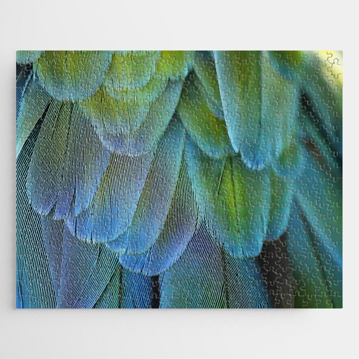 Blue Feathers #2 - Modern Photograph Jigsaw Puzzle Gallery Image 1