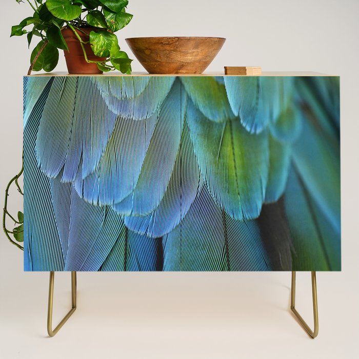 Blue Feathers #2 - Modern Photograph Credenza Gallery Image 1