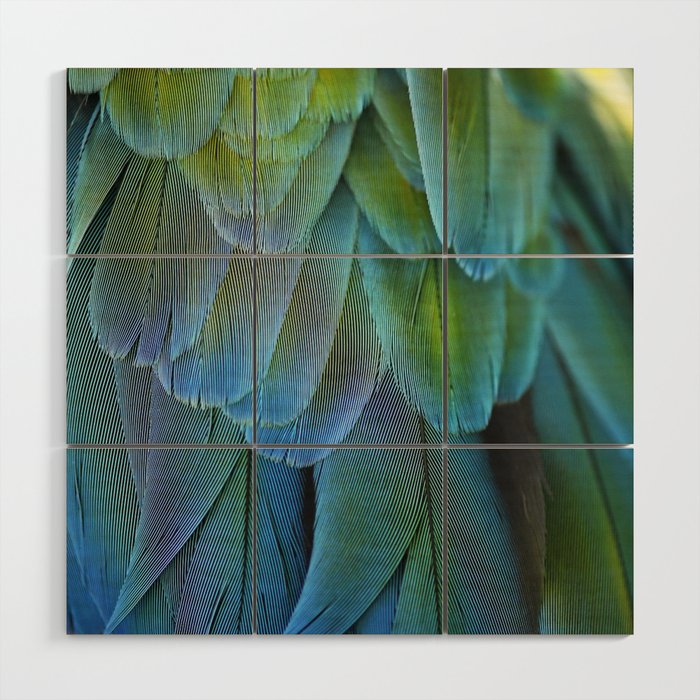 Blue Feathers #2 - Modern Photograph Wood Wall Art Gallery Image 1