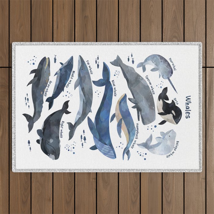 Whales Outdoor Rug Gallery Image 1