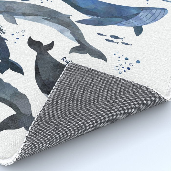 Whales Rug Gallery Image 4