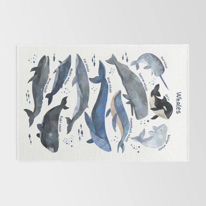 Whales Rug Gallery Image 2
