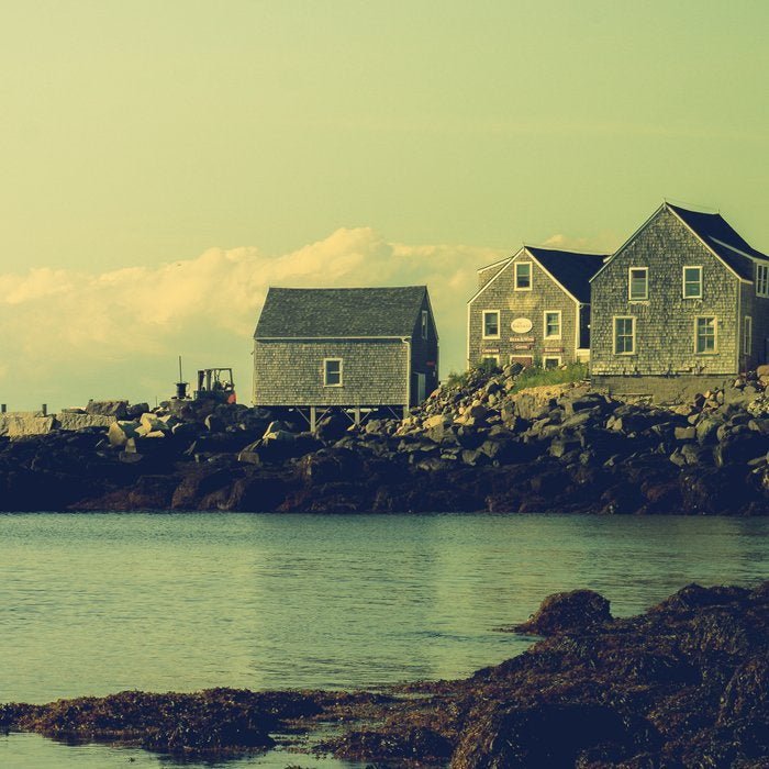 First Light on the Coast Monhegan Island Maine photograph Coffee Mug Gallery Image 2