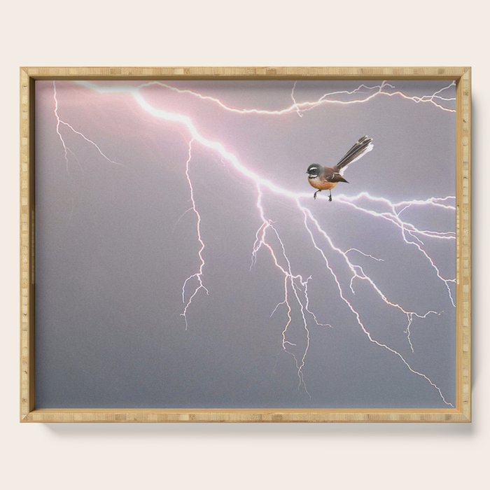 Bird on lightning bolt - Fantail Serving Tray Gallery Image 1