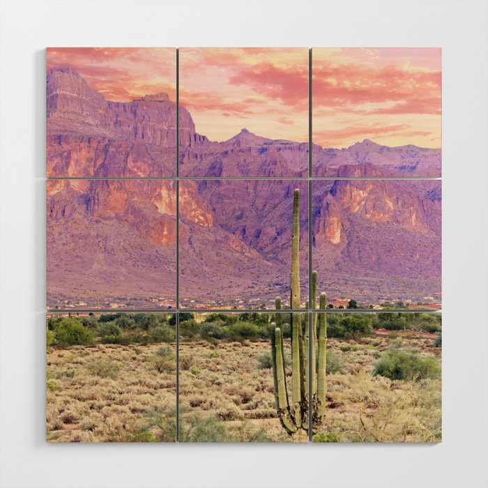Cactus Sunset #digitalart #nature Wood Wall Art Gallery Image 1