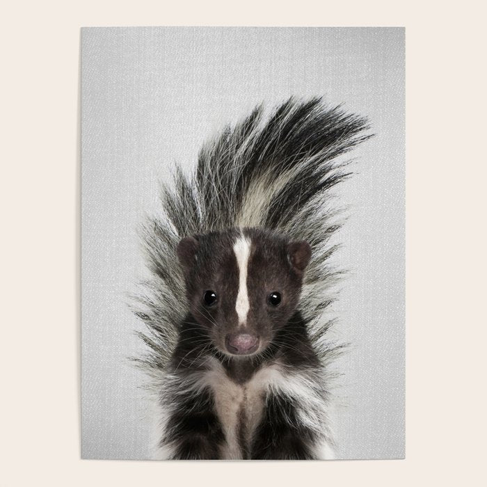 Skunk - Colorful Poster Gallery Image 4