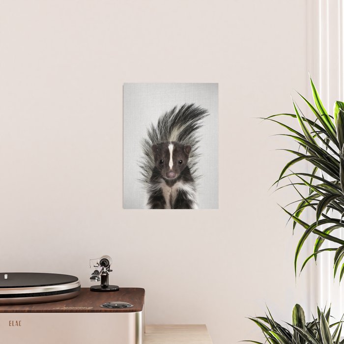 Skunk - Colorful Poster Gallery Image 2