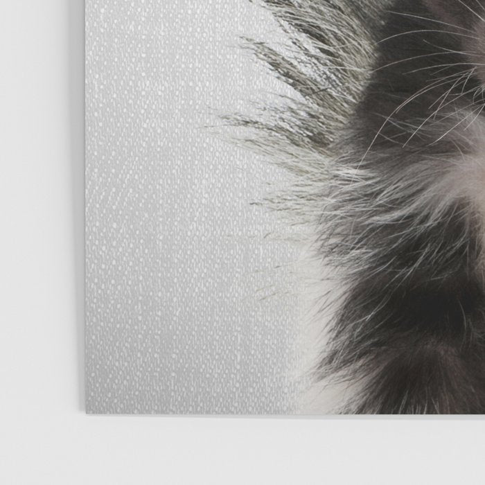 Skunk - Colorful Poster Gallery Image 3