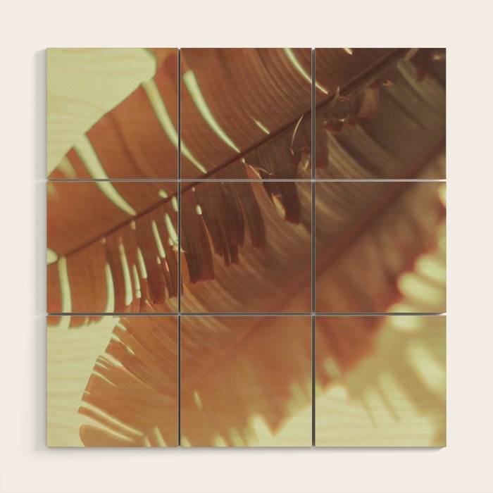 Sunset Banana Leaves II Wood Wall Art Gallery Image 1