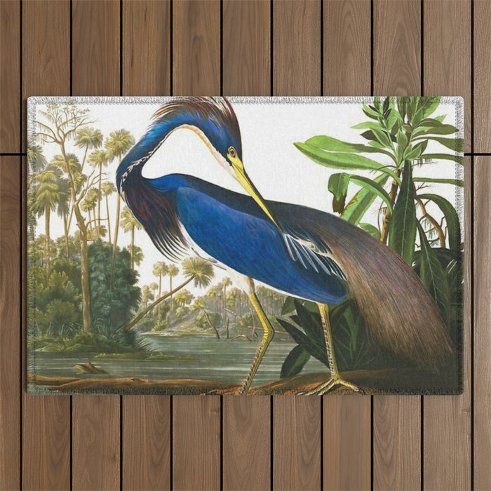 John James Audubon - Louisiana Heron Outdoor Rug Gallery Image 1