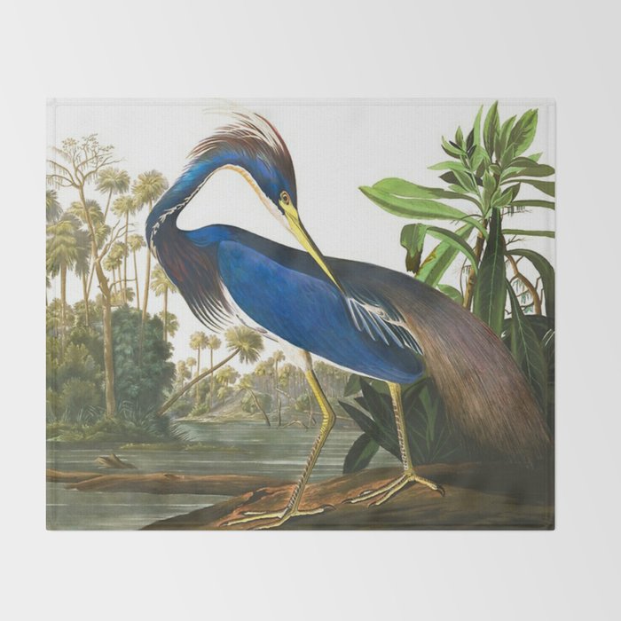 John James Audubon - Louisiana Heron Throw Blanket Gallery Image 2