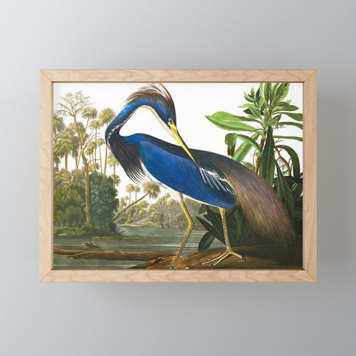 John James Audubon - Louisiana Heron Mini Art Print Gallery Image 1