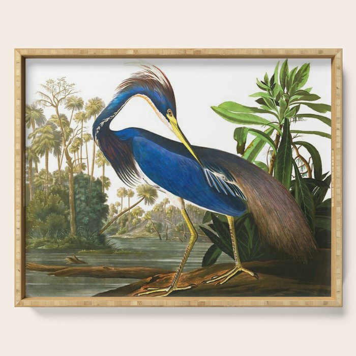 John James Audubon - Louisiana Heron Serving Tray Gallery Image 1