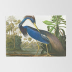 John James Audubon - Louisiana Heron Rug Gallery Image 2