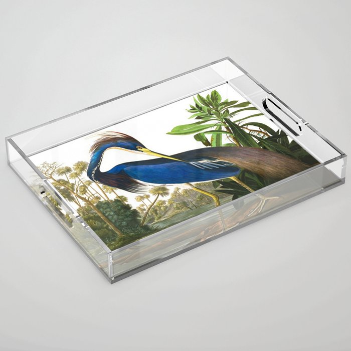 John James Audubon - Louisiana Heron Acrylic Tray Gallery Image 1