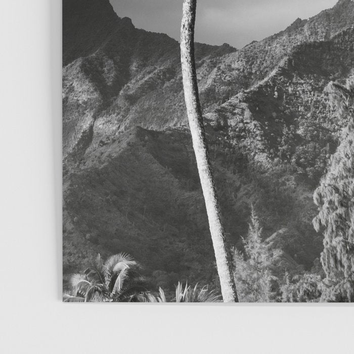 Kauai, Hawaii - Black and White Landscape Photography Poster Gallery Image 3