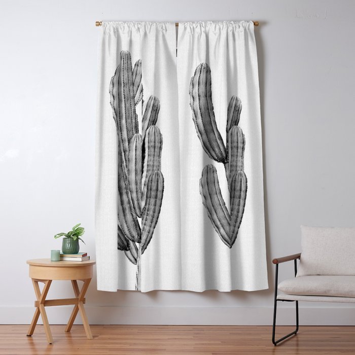 Cactus 3 - Black & White Window Curtain Gallery Image 1