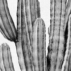 Cactus 3 - Black & White Coffee Mug Gallery Image 2