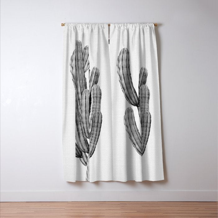 Cactus 3 - Black & White Window Curtain Gallery Image 3