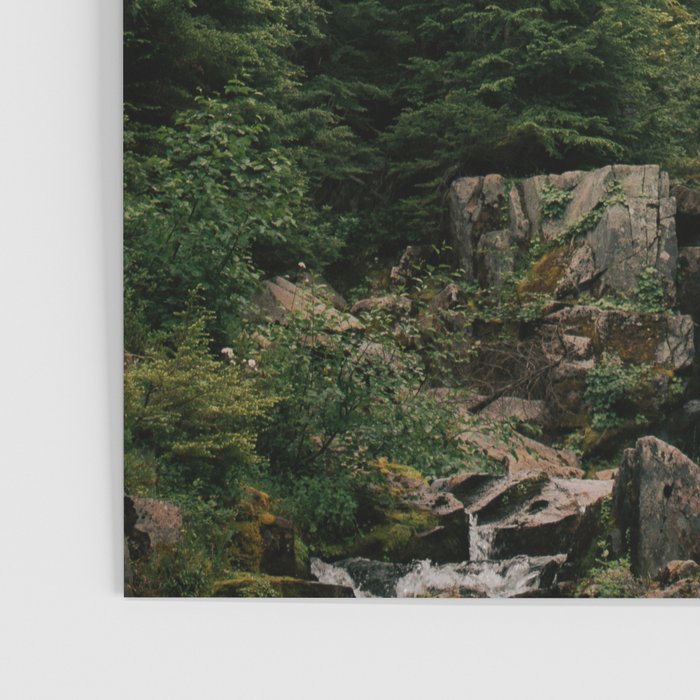 Baby Waterfall Poster Gallery Image 3