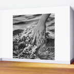 Running hand through the water, under the blue again black and white photograph / art photography Wall Mural Gallery Image 2