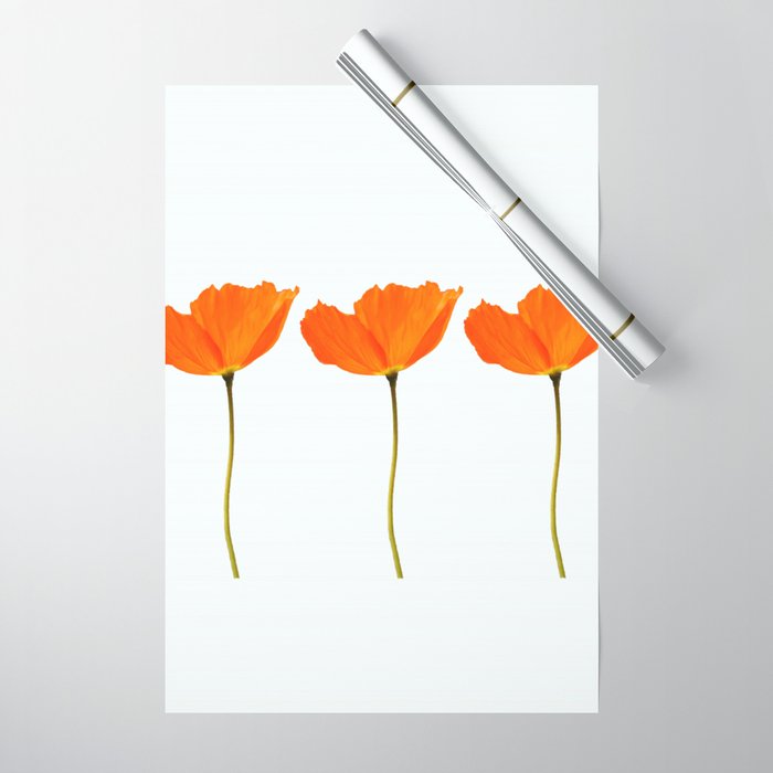 Three Orange Poppy Flowers White Background  Wrapping Paper Gallery Image 1