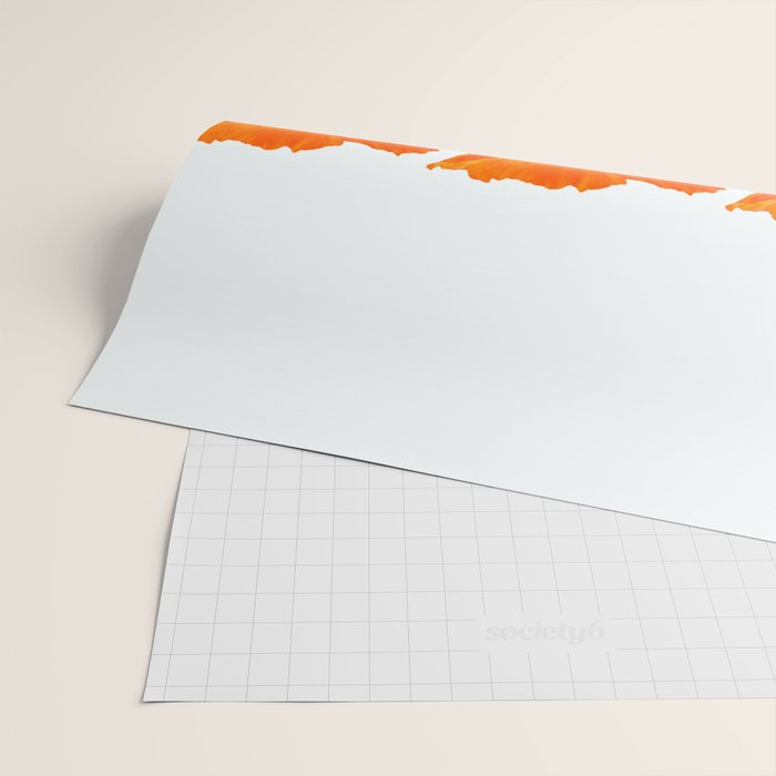 Three Orange Poppy Flowers White Background  Wrapping Paper Gallery Image 2