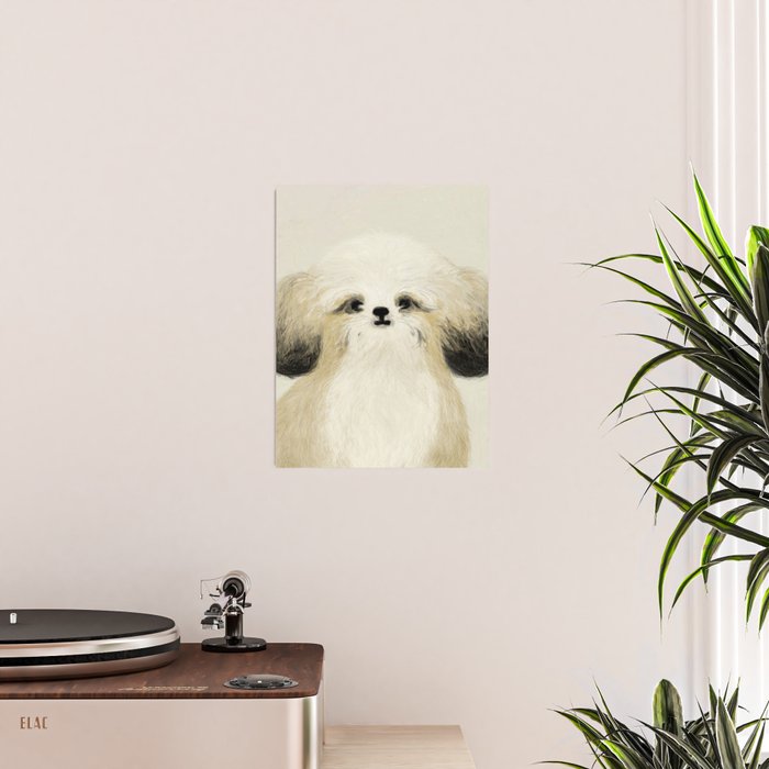 Cute dogs portrait. Wally Poster Gallery Image 2