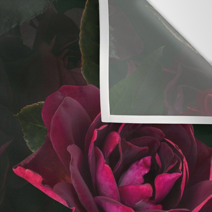 Vintage & Shabby Chic - Night Botanical Flower Roses Garden Wall Tapestry Gallery Image 3