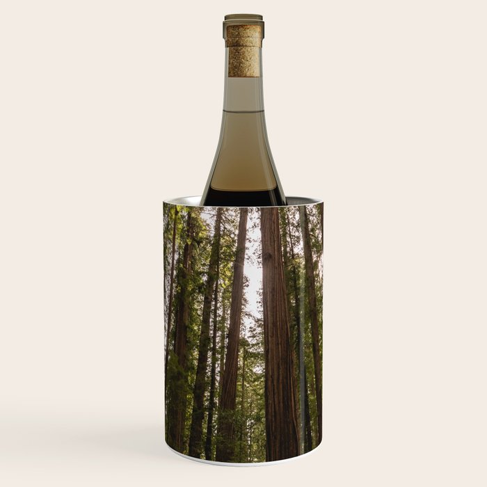 Among Giants II - 60/365 Wine Chiller Gallery Image 1
