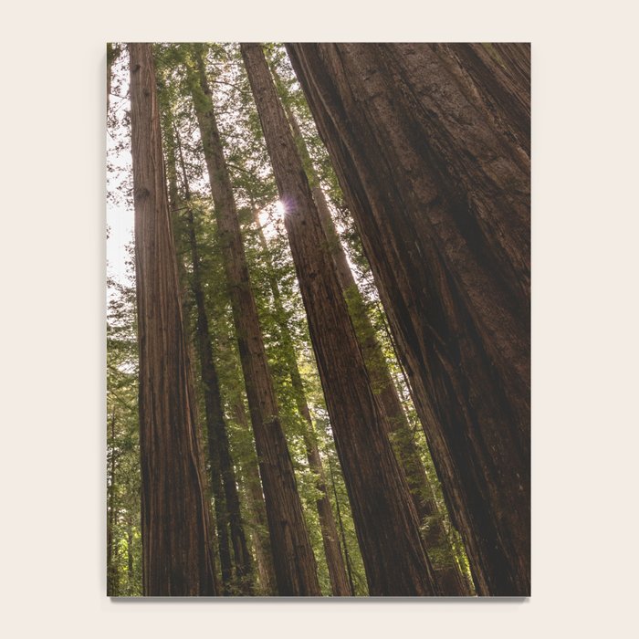 Among Giants II - 60/365 Notebook Gallery Image 4