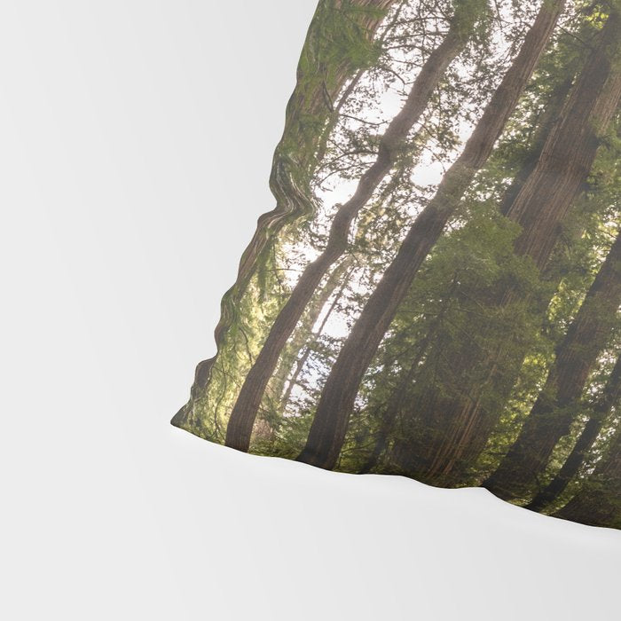 Among Giants II - 60/365 Pillow Sham Gallery Image 4