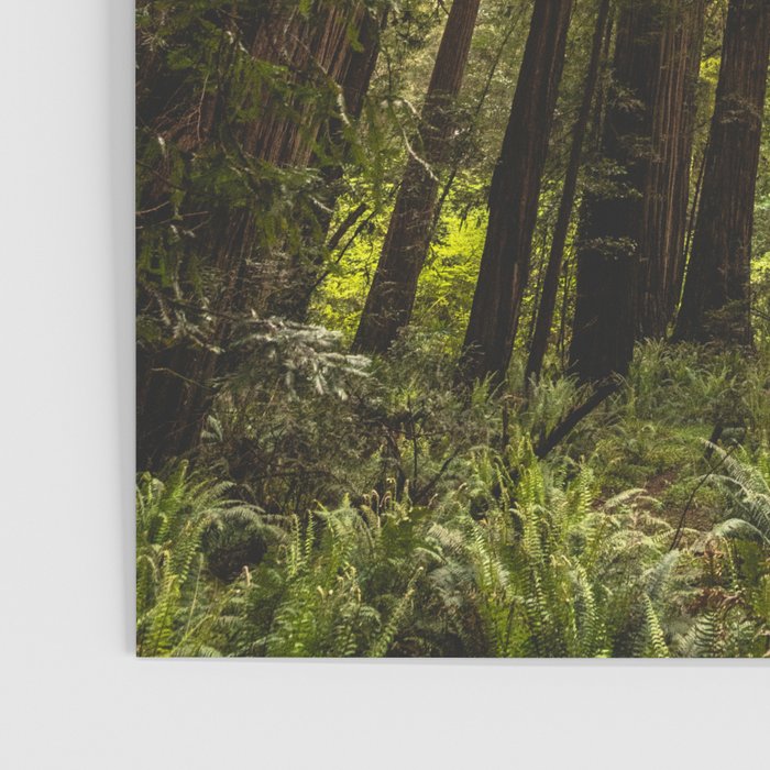 Among Giants II - 60/365 Poster Gallery Image 3