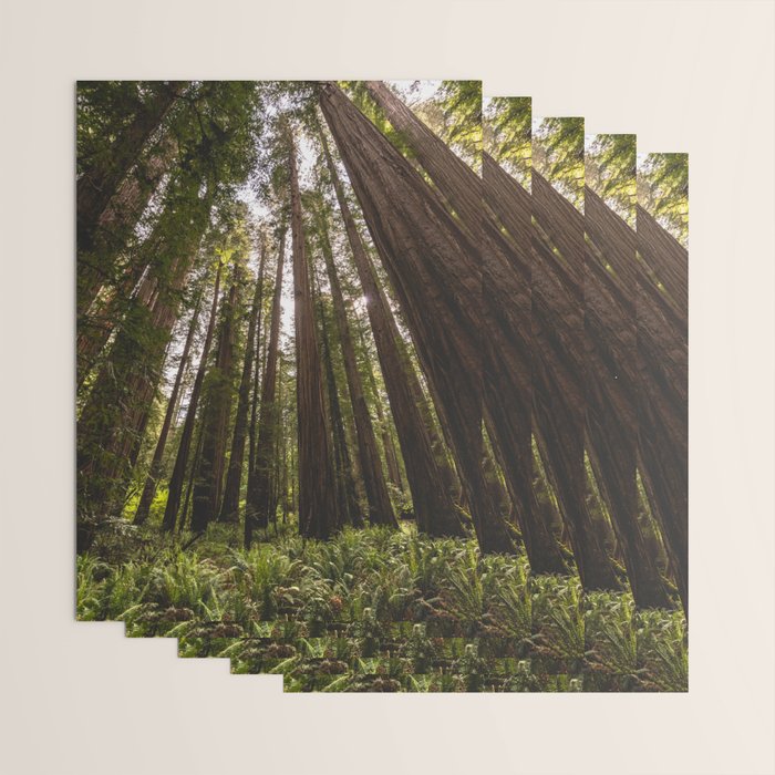 Among Giants II - 60/365 Wrapping Paper Gallery Image 3