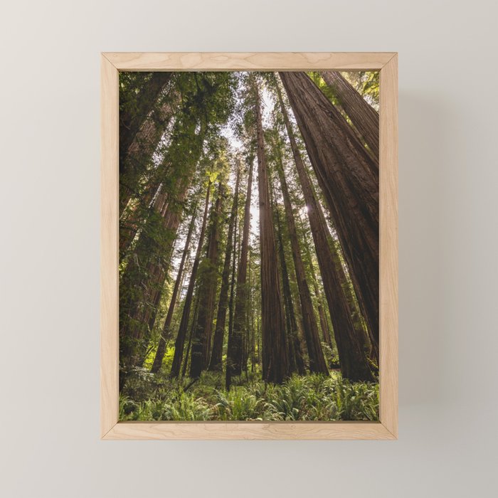Among Giants II - 60/365 Mini Art Print Gallery Image 1