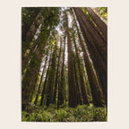 Among Giants II - 60/365 Poster Gallery Image 4